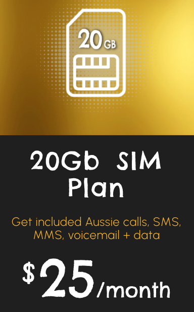 20Gb