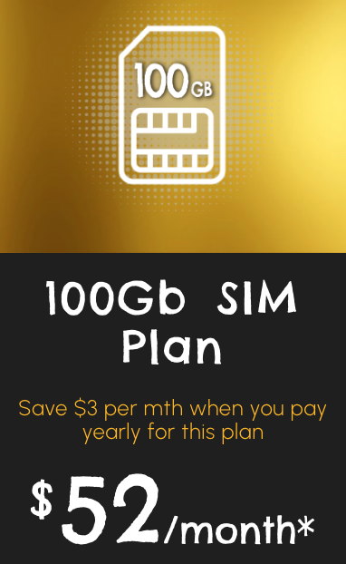 *100 Gb