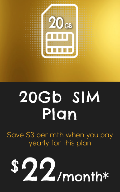 *20Gb