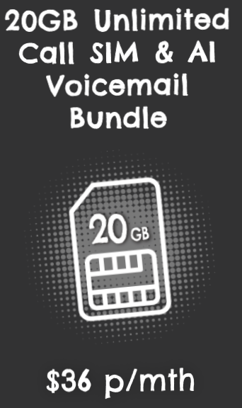 20Gb