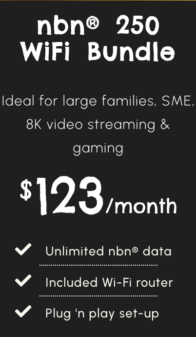 NBN® 250 WiFi Bundle (monthly)