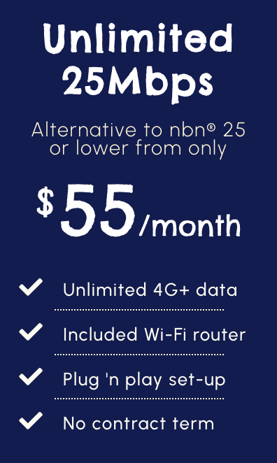 Wireless Unlimited 25Mbps (monthly)