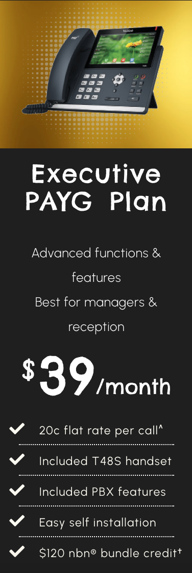Executive PAYG Plan